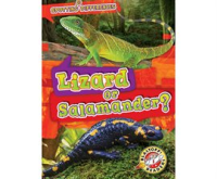 Lizard_or_Salamander_